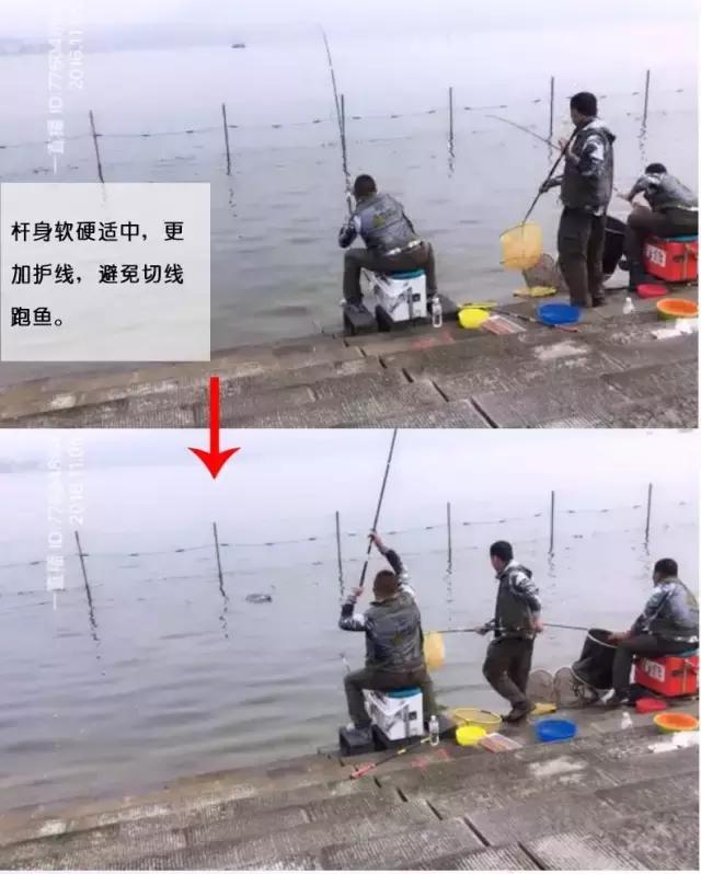 行营鱼竿x12,行营x12竞技之王鱼竿测评