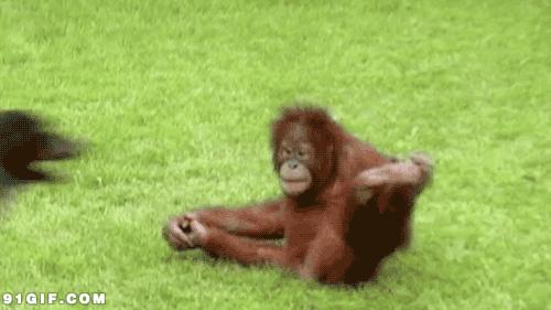 快递员送快递小技巧,让快递员送货上门有错吗