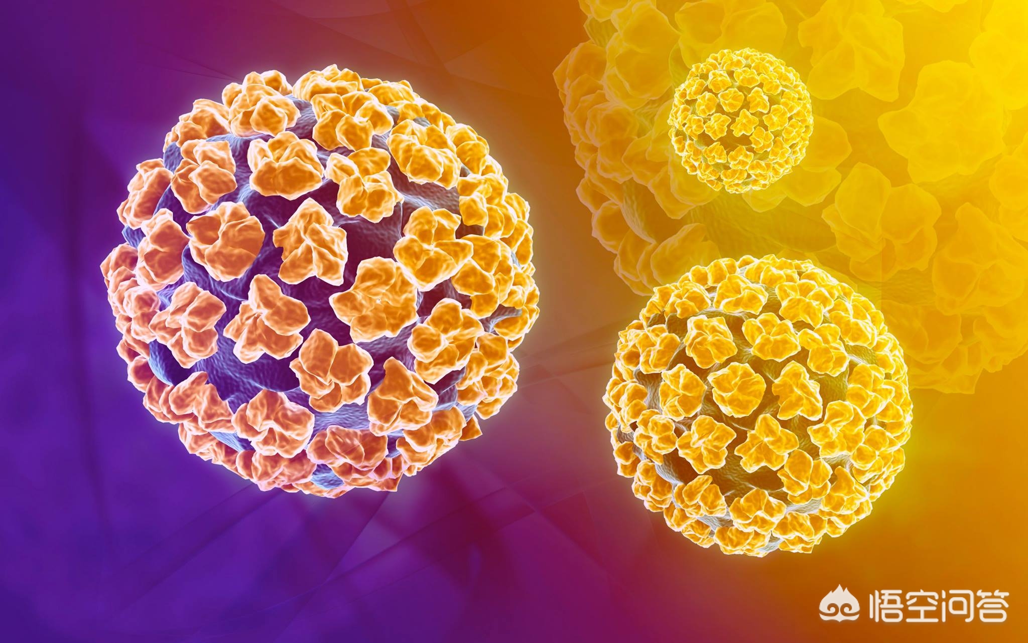 hpve6e7mrna阴性还用做hpv分型么,hpv基因分型八个月阴性可以排除吗