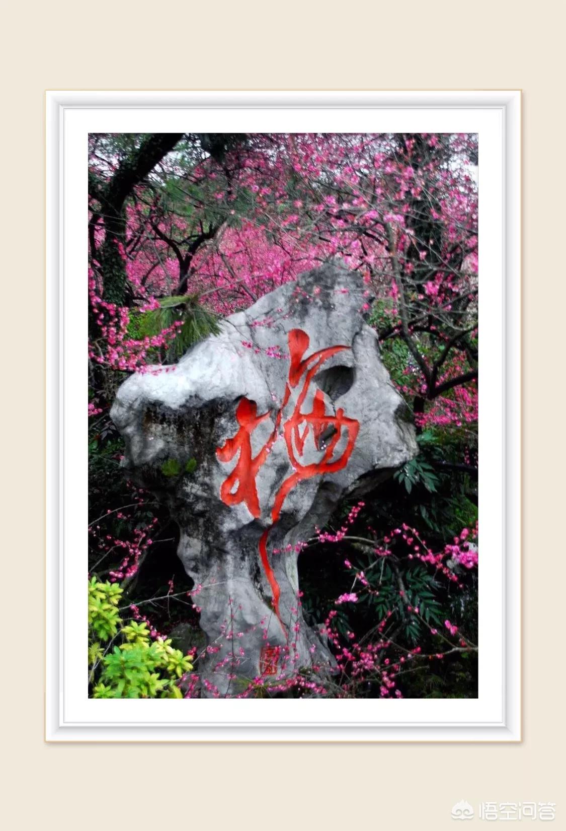 抑郁症不敢社交怎么办,抑郁症会有社交恐惧症吗