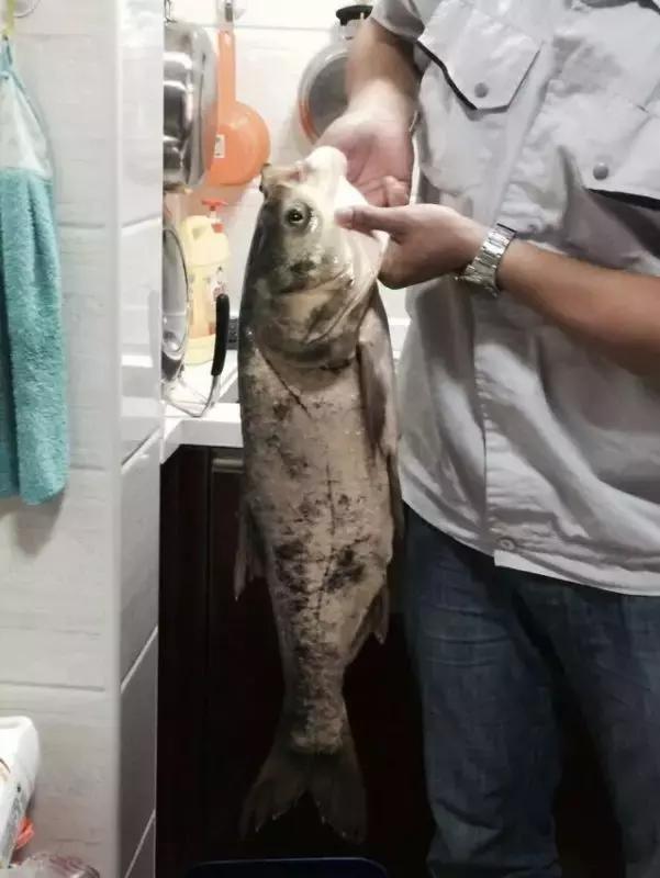 三兄弟垂钓视频,三兄弟钓鱼视频大全集