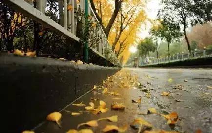 满城尽带黄金甲京剧,满城尽带黄金甲由什么改编