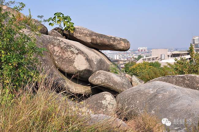 蚌埠市三县四区排名,蚌埠三大县