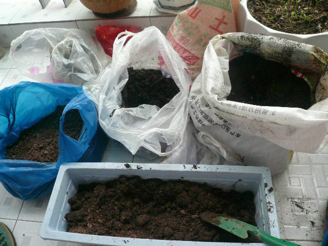 大叔用pvc管在阳台种菜7年,江苏人巧用pvc管阳台种菜