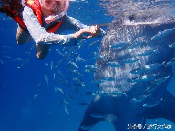 冬天到了应该去温暖的地方,冬天到西双版纳过冬太舒服了