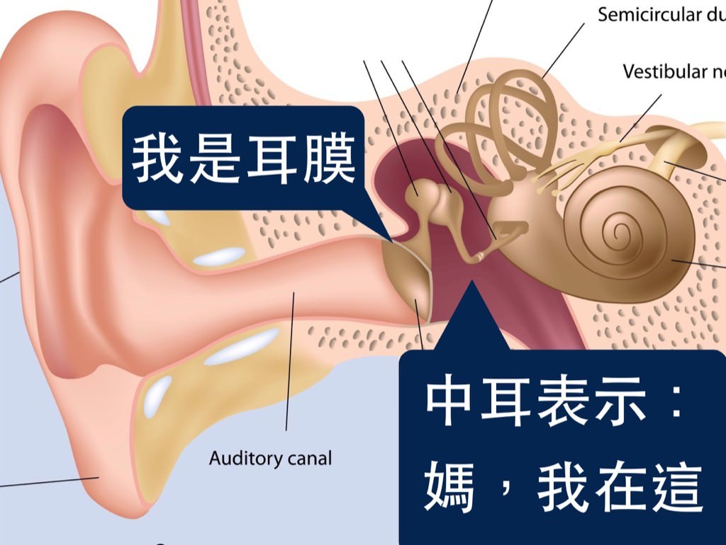中耳炎预防小知识,儿童急性化脓性中耳炎健康宣教