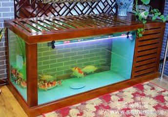 室内鱼缸摆放位置有什么讲究吗,鱼缸在室内的摆放位置有讲究吗