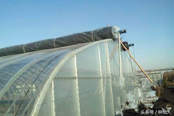 一亩钢架蔬菜大棚多少钱,搭建一个一亩的蔬菜大棚要多少钱