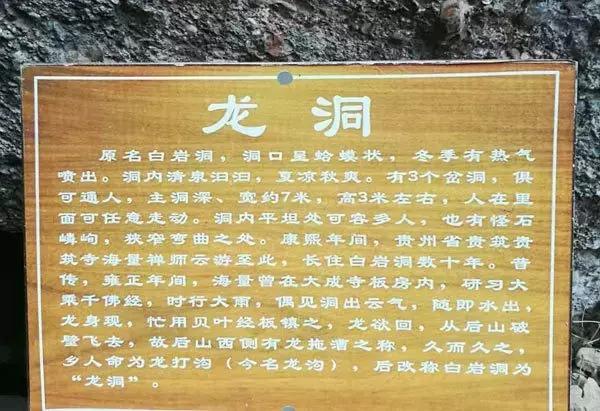 成都寺庙看银杏最美的地方,成都市最美银杏树在什么位置