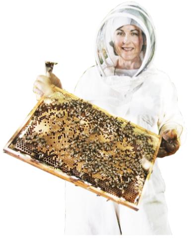 假蜂胶曝光事件,央视曝光假蜂胶