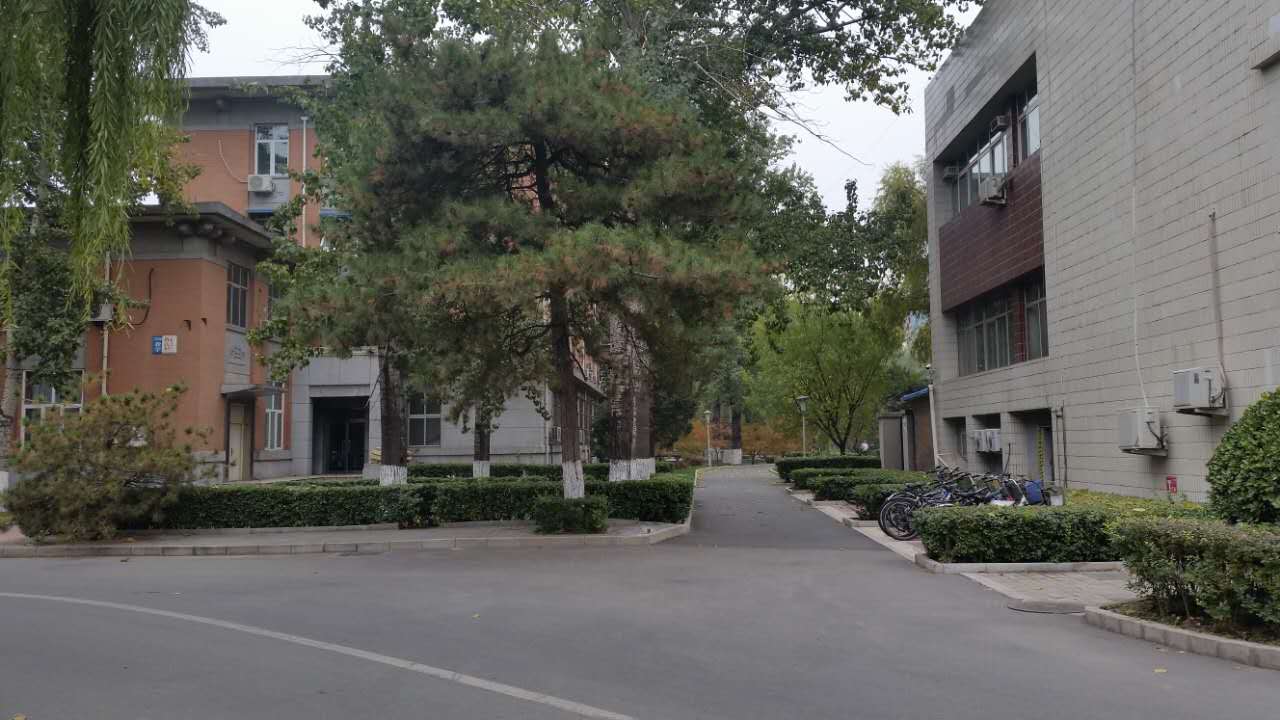 走进北师大,走进京师校园