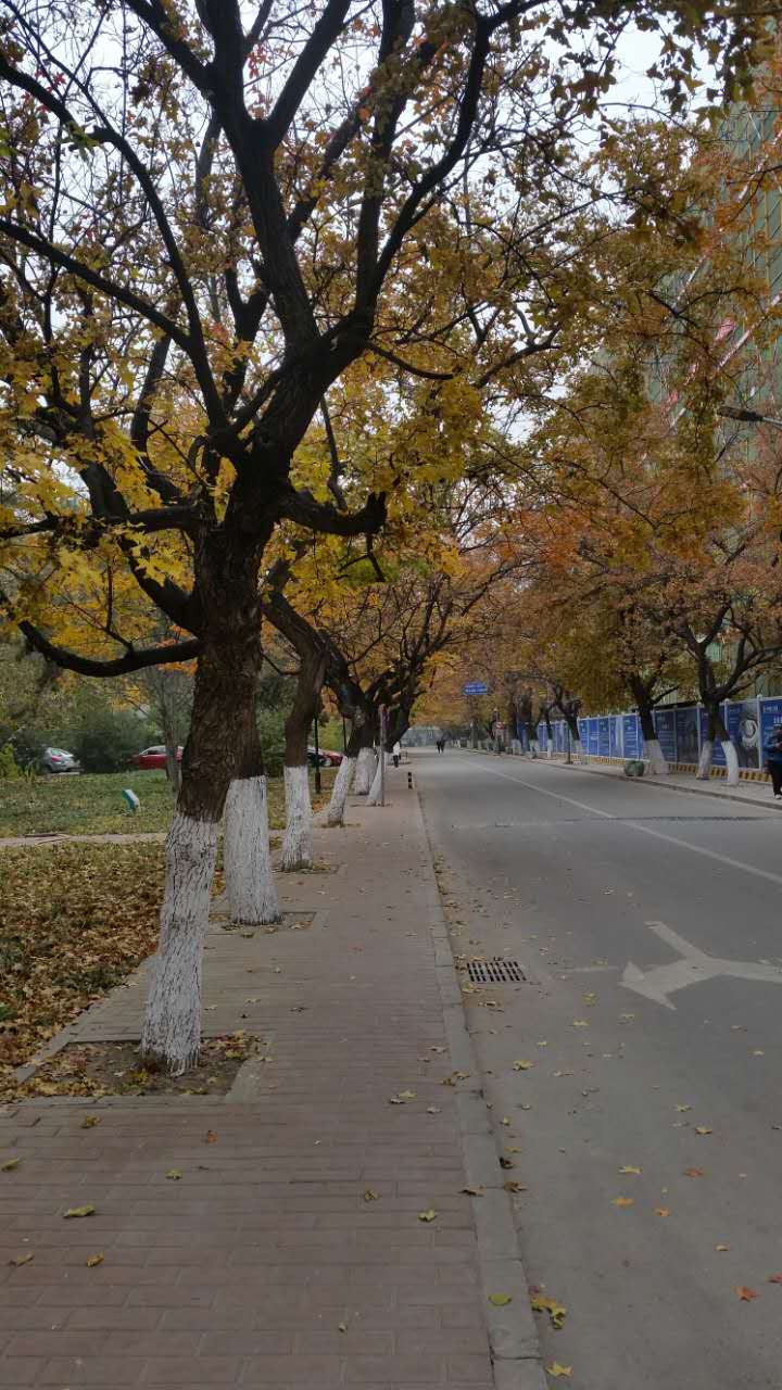 走进北师大,走进京师校园