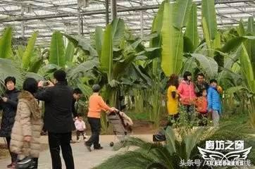 2016廊坊精品景区之“最具人气景区-九天休闲谷”