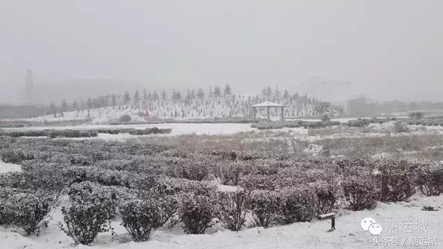 运城雪景有多美,山西省运城市第一场雪