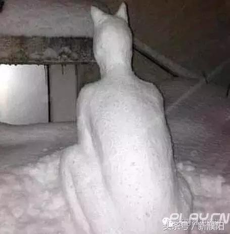 濮阳第一场雪是几号,濮阳哪一年5月份下的雪