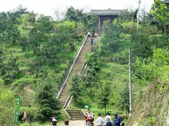 成都户外徒步去哪里,成都周末徒步亲近大自然