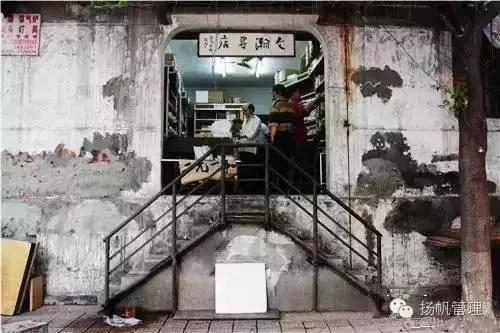 成都乐山10大网红,有哪些网红来过乐山