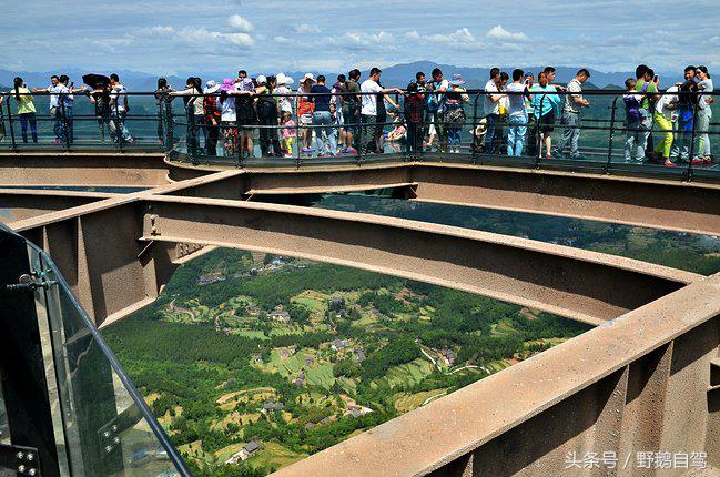 新疆野鹅自驾游视频,野鹅圣诞节自驾游