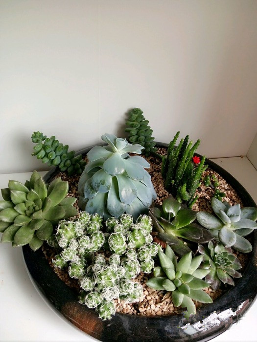 在手机里存一首自己的歌吧，成都这6家录音棚让你爱上自己的声音