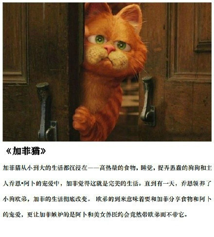 兔哥电影推荐：各种萌物萌宠出没，从头到尾，萌你一脸血