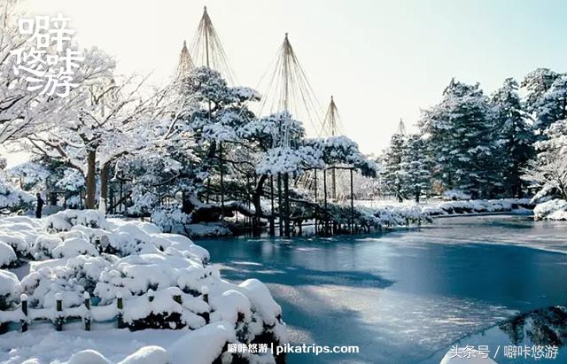 日本金泽游记,日本攻略交通篇