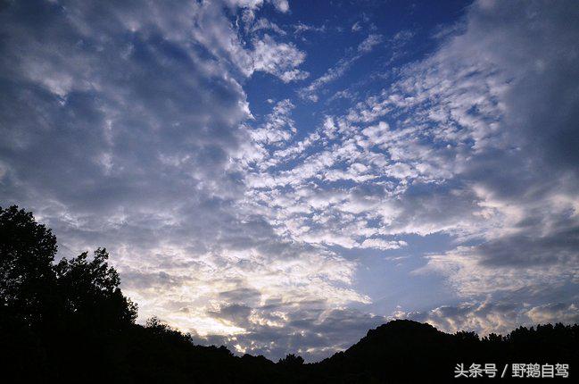 新疆野鹅自驾游视频,野鹅圣诞节自驾游