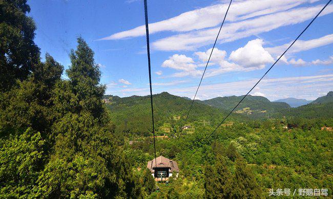 新疆野鹅自驾游视频,野鹅圣诞节自驾游