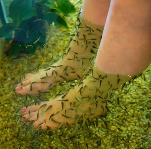 冬日最适合和情侣泡温泉北京,冬季泡温泉旅游攻略