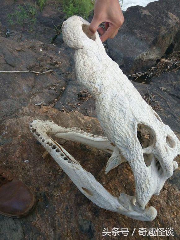 我在非洲工作的日子，给大家介绍下非洲的风土人情