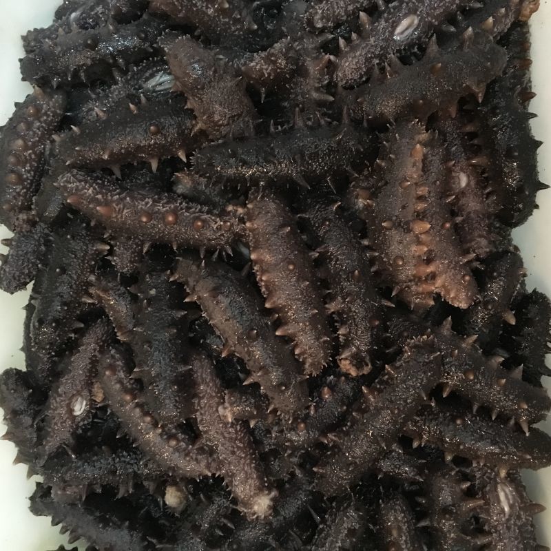 鲍鱼大虾海鲜火锅,一虾一蟹49元海鲜自助火锅