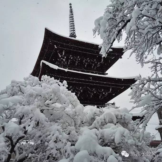 这个冬天我们一起去日本看雪,去日本看雪景哪个地方好