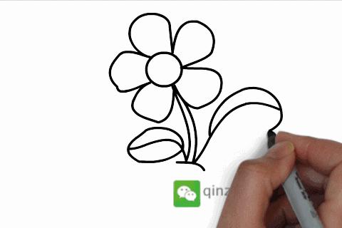 三分钟就能学会的简笔画,一看就会一学就废的简笔画合集