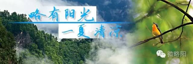 略阳五龙洞国家森林公园开园了吗,汉中五龙洞森林公园图片