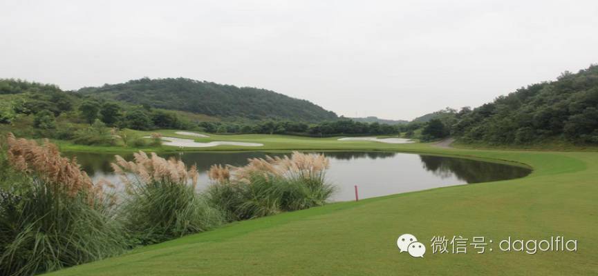 高尔夫球优惠活动,高尔夫挥杆练习场团购