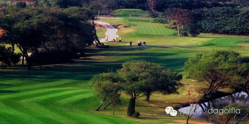 高尔夫优惠团购99元直播,国际高尔夫订场