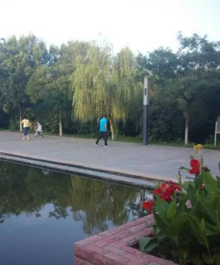 新建体育公园篮球场,体育公园新建篮球场