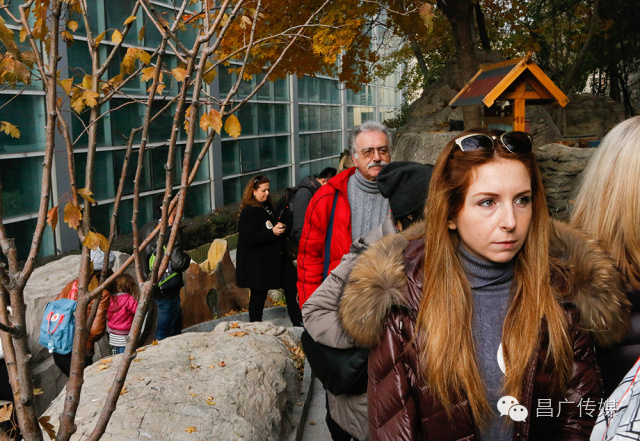 外国人北京印象,外国人眼中的北京故宫