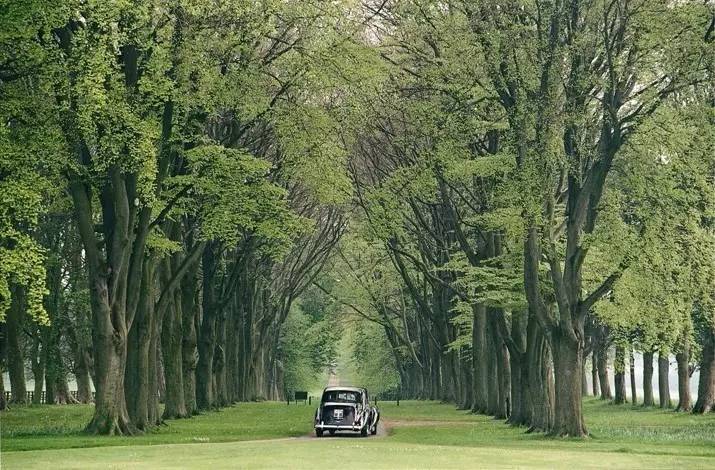 英格兰民宿房间图片大全,英国旅游住宿民宿酒店