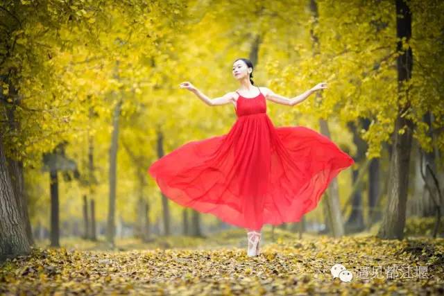 成都西部银杏第一村 (成都市周边哪里的银杏最多最美)