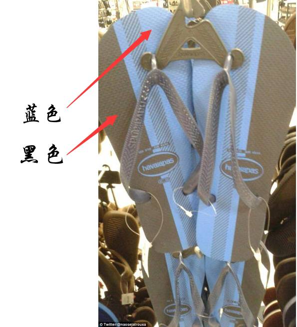 热点丨到底是蓝黑还是白金？一双拖鞋，快让全世界人民打起来了！