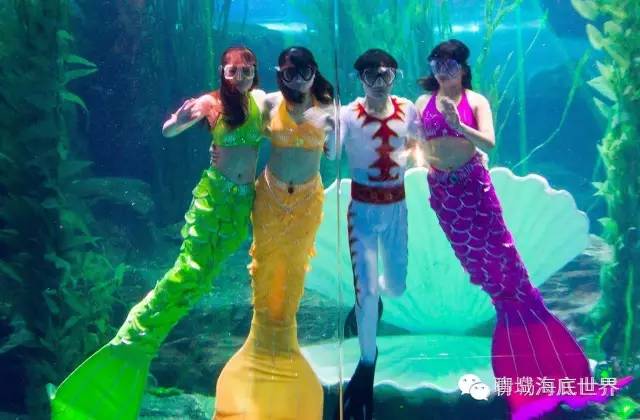 青荣烟威城际铁路开通,青威烟荣城际高铁