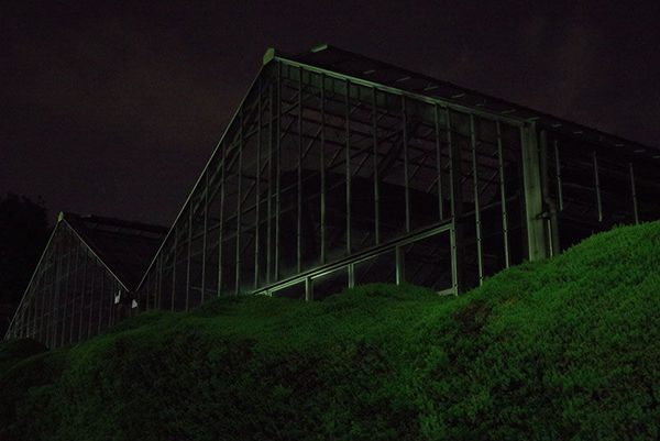 宾得k-1,宾得28-135镜头怎么样