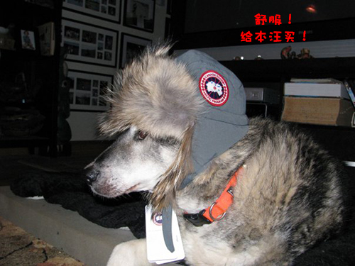 cybermonday科普,cybermonday都卖什么