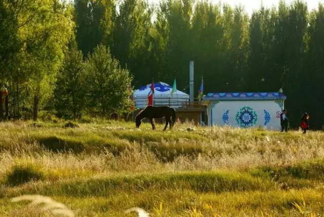 包头城建大项目,包头市新建公园
