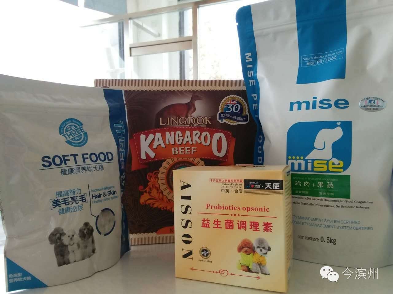 宠物征集活动,宠物征集令