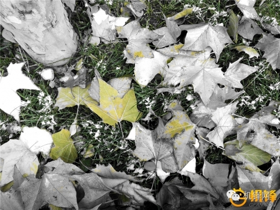 中兴天机7max吃鸡,中兴天机axon7max参数