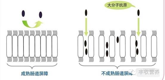 治疗宝宝湿疹家长请收好调理食谱,宝宝湿疹怎么给宝妈解释