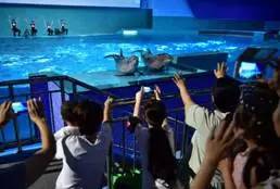 旅游景区收到游客投诉价格偏高,景区门票调价投诉