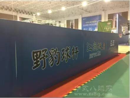 野豹硬核球杆适合打中八吗,野豹球杆准神推荐