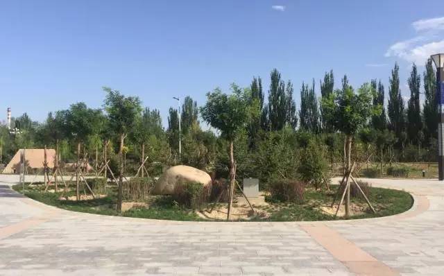 包头城建大项目,包头市新建公园